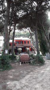 Agenzia Immobiliare La Piazzetta - Via dei Francesi - Rosolina