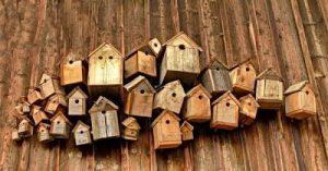 Dall'Osso Amministrazioni Immobiliari S.r.l. - Via Cavour - Imola