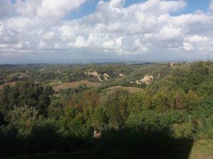 In Tour Italia Toiano - Strada Comunale di Toiano - Palaia