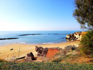Studio associato Gestionimmobiliari di Federici Gabriele - Via Roma - Anzio